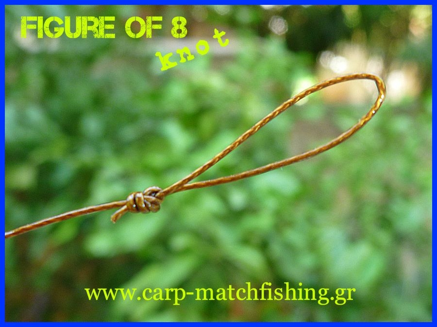 Ο κόμπος του 8 /Figure of 8 knot