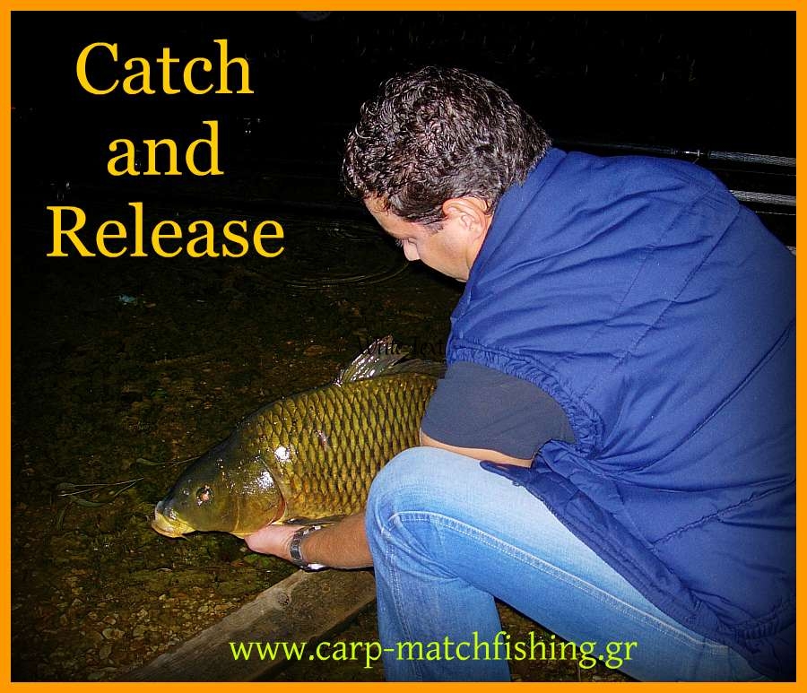 Catch and release:Αθλητικό ιδεώδες, προσωπική επιλογή ή επιτακτική ανάγκη για την διάσωση των ψαριών και των οικοσυστημάτων?