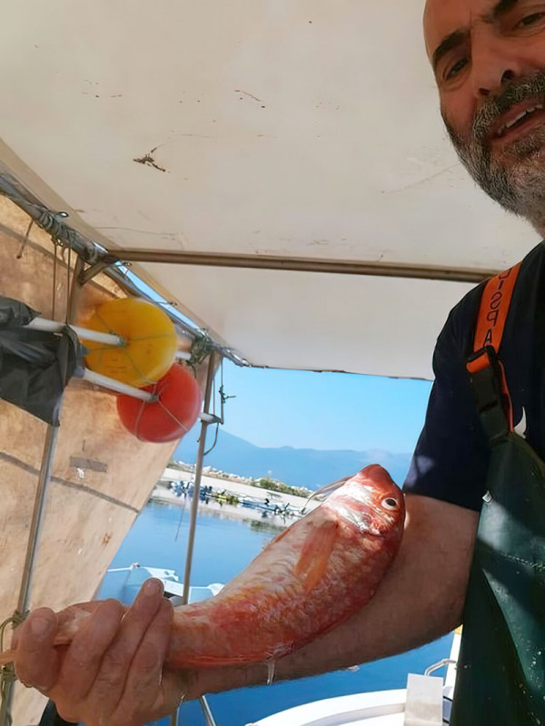 Μπαρμπούνι 1850gr στα δίχτυα ψαρά