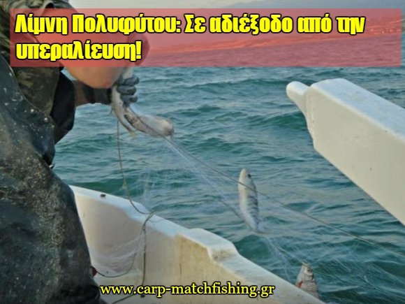 Λίμνη Πολυφύτου : Μία λίμνη σε σοβαρό αδιέξοδο , με μεγάλα προβλήματα από την υπεραλίευση