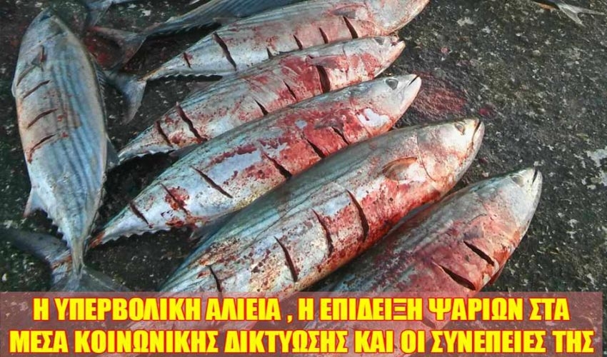 Υπερψαριές: Η υπερβολική αλιεία, η επίδειξη ψαριών στα μέσα κοινωνικής δικτύωσης και οι συνέπειες της