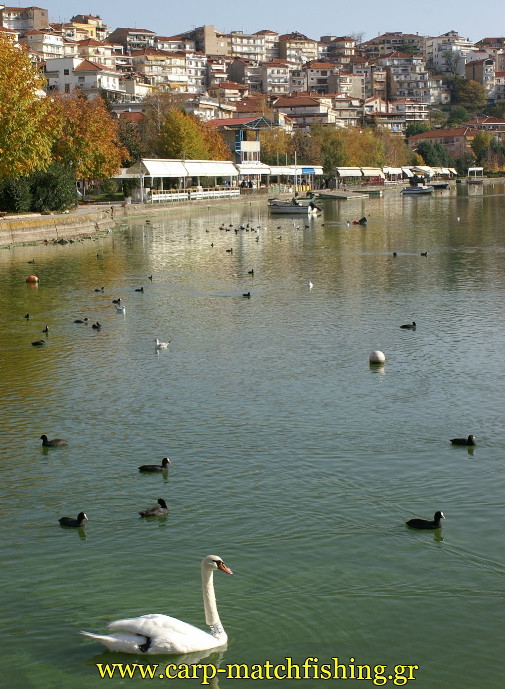 Απαγόρευση αλιείας στη λίμνη Καστοριάς, στα λιμνοφράγματα και στον Αλιάκμονα ποταμό.