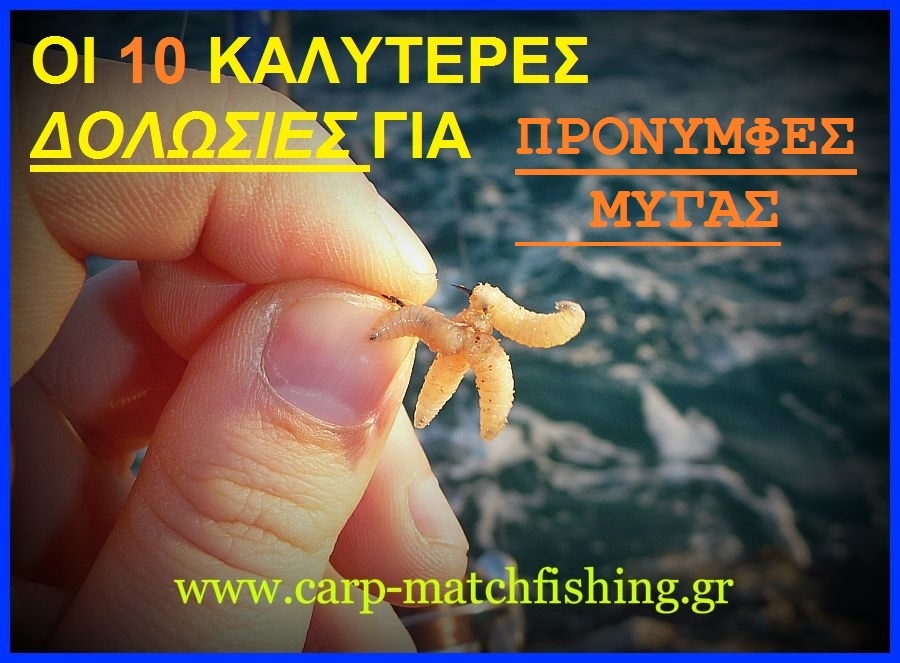 Match fishing-Οι δέκα καλύτερες δολωσιές με προνύμφες μύγας(bigattino)