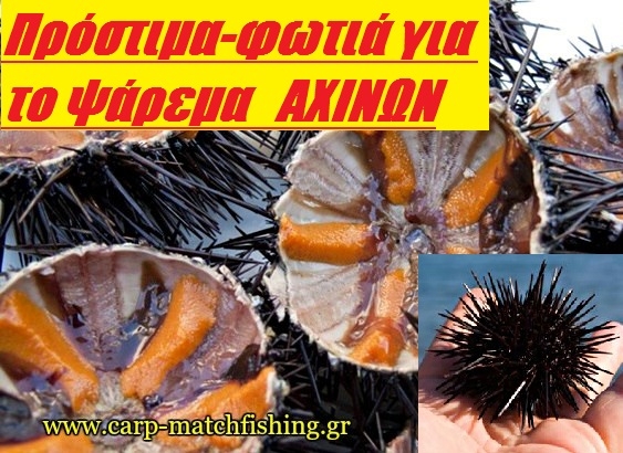 Πρόστιμα-φωτιά για το παράνομο ψάρεμα αχινών!