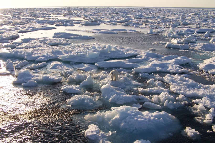 arctic_sea_ice.jpg
