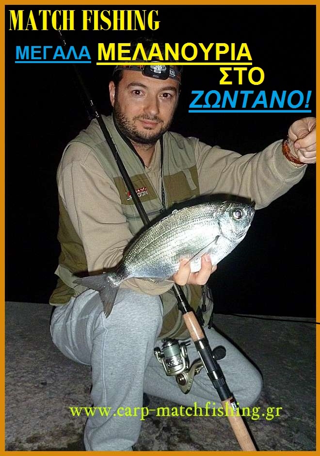 Match FIshing-Μεγάλα μελανούρια με ζωντανό δόλωμα