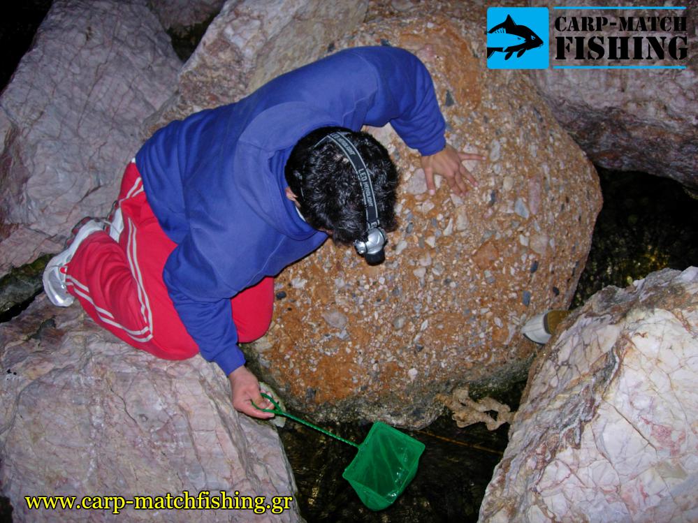 briskontas zontanes garides sta vraxia gia psarema matchfishing carpmatchfishing