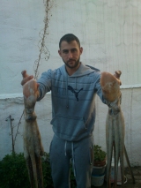 andrikos