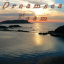 Dreamsea Team