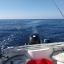 ΑΝΤΩΝΗΣ