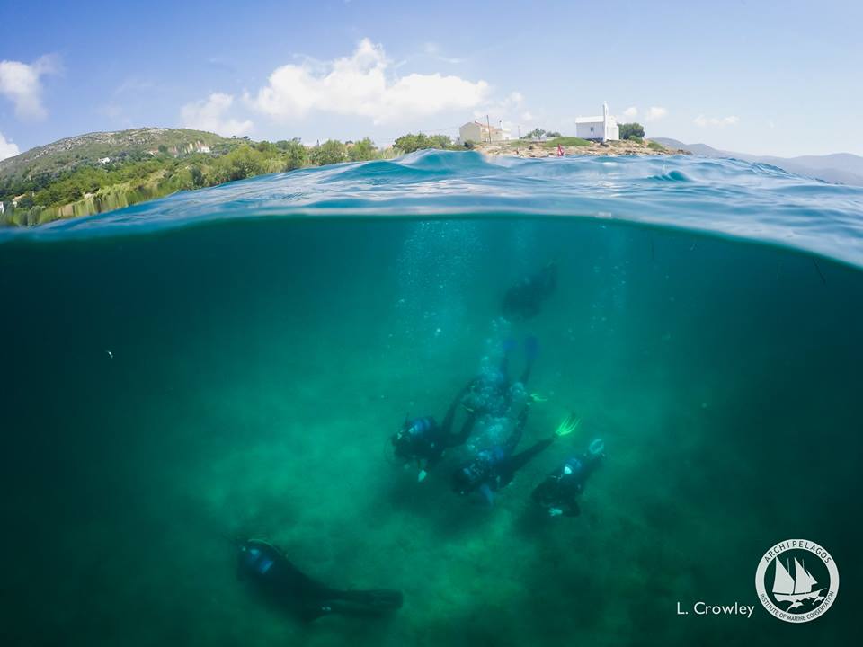 Diving-with-the-aim-to-survey-and-understand-better-our-seas.jpg