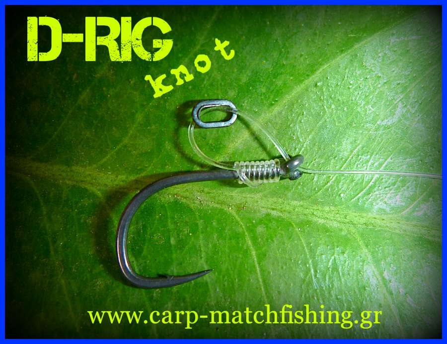 O κόμπος του D-rig/D-rig knot