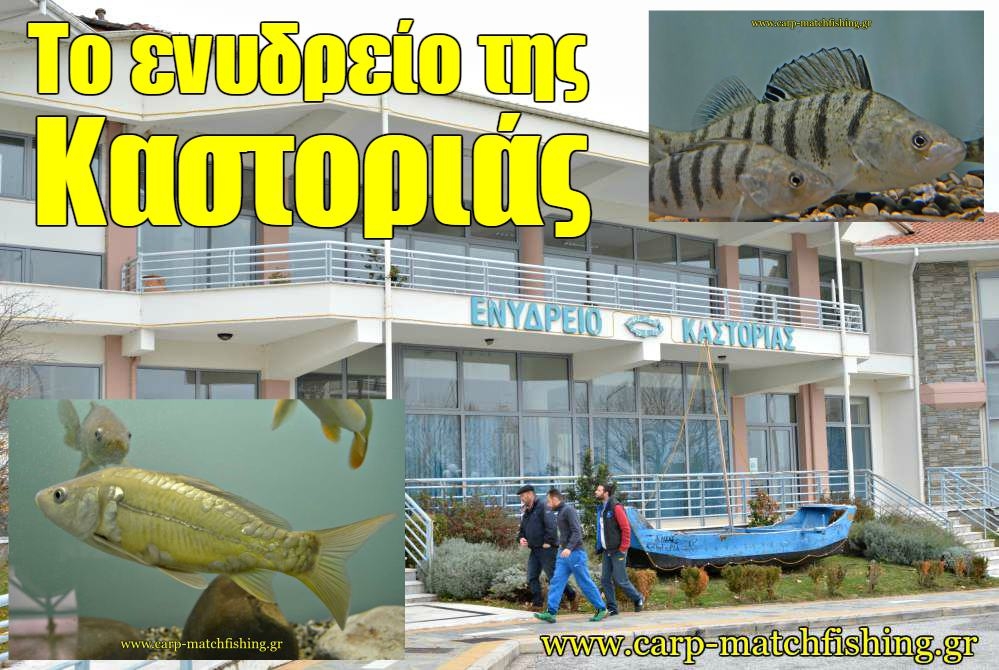 Το μοναδικό ενυδρείο της Καστοριάς, με ψάρια και οργανισμούς από τα γλυκά νερά της Ελλάδας