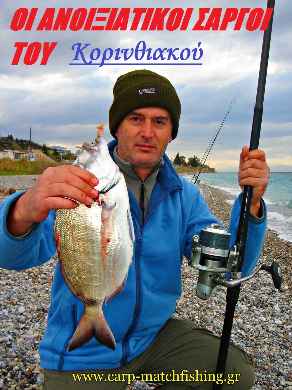 Οι ανοιξιάτικοι σαργοί του Κορινθιακού κόλπου