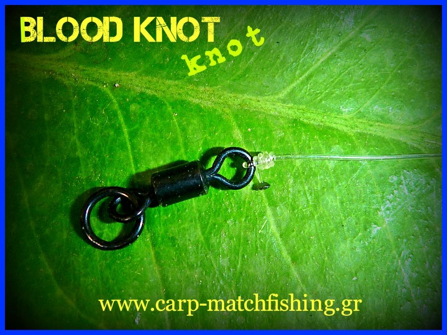 Ο κόμπος της φίμωσης/blood knot