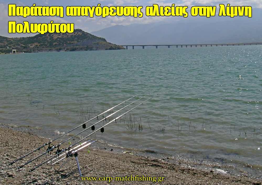 Παράταση της απαγόρευσης αλιείας σε τμήμα της λίμνης Πολυφύτου, της Π.Ε Κοζάνης, για την ασφαλή αναπαραγωγή των ψαριών