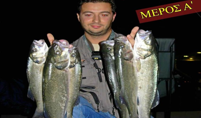 Match fishing με waggler φελλό: Το ψάρεμα του λαβρακιού με ζωντανή γαρίδα(Μέρος 1ο)