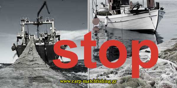 save-the-fishes-carpmatchfishing.jpg