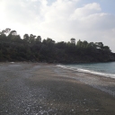 surfcasting
