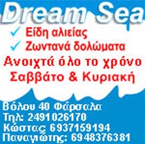 Banner_Dream_sea_150