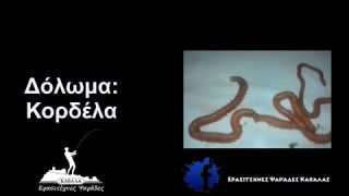 Δόλωμα: Κορδέλα