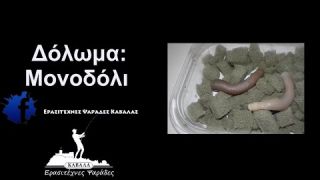 Δόλωμα: Μονοδόλι